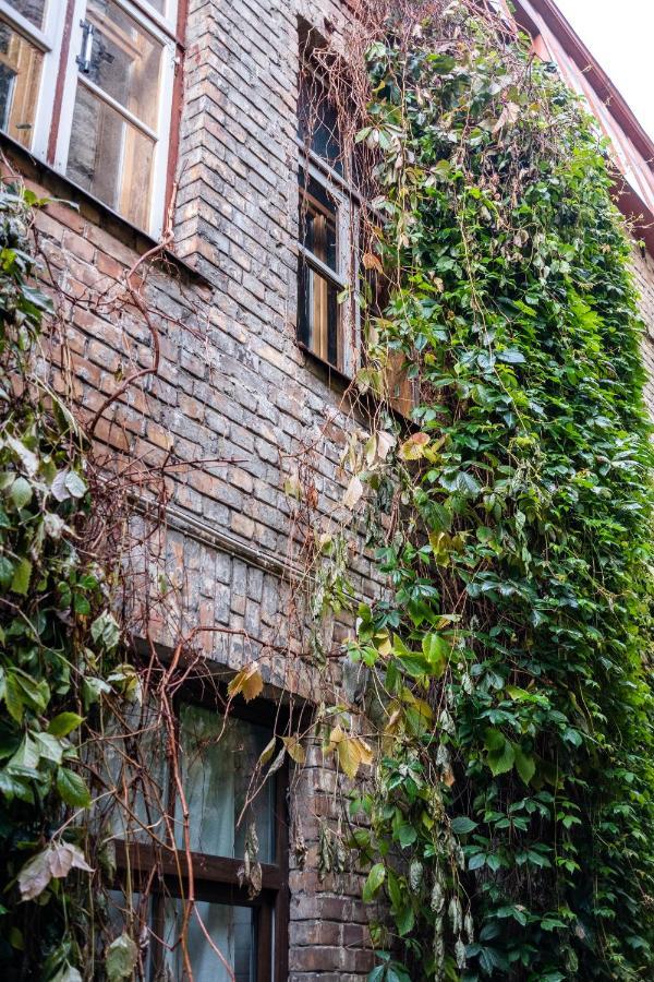 Dream Stay - Bright 2-Bedroom 2-Floor Old Town Apartment 塔林 外观 照片