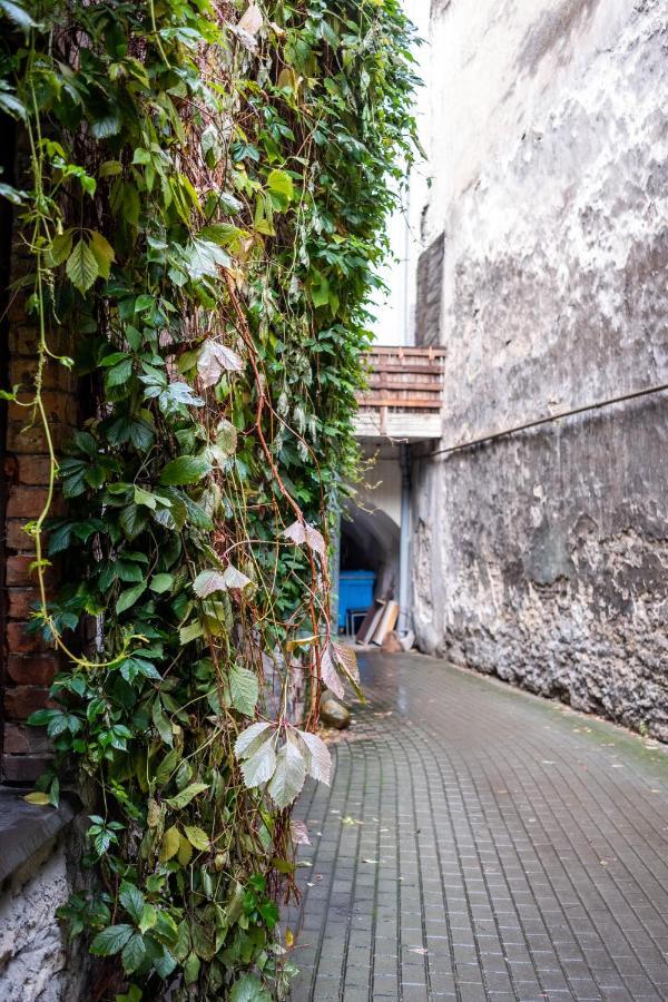 Dream Stay - Bright 2-Bedroom 2-Floor Old Town Apartment 塔林 外观 照片