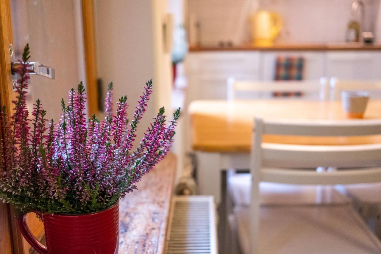 Dream Stay - Bright 2-Bedroom 2-Floor Old Town Apartment 塔林 外观 照片
