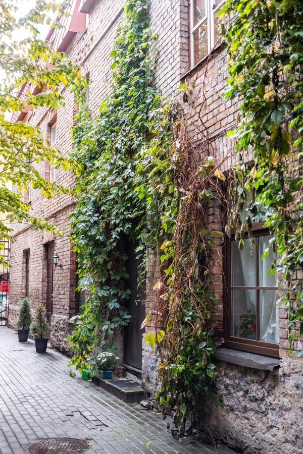 Dream Stay - Bright 2-Bedroom 2-Floor Old Town Apartment 塔林 外观 照片