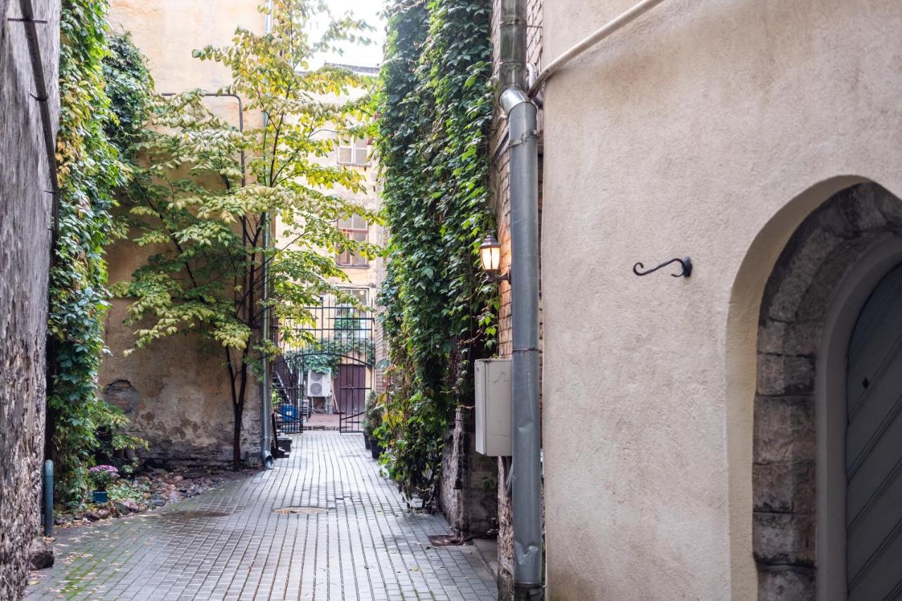 Dream Stay - Bright 2-Bedroom 2-Floor Old Town Apartment 塔林 外观 照片